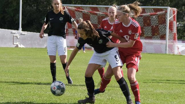 DFB-Pläne sorgen für Bauchschmerzen