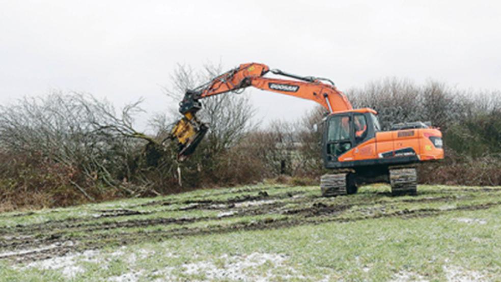  © Foto: M.Steven/ NABU