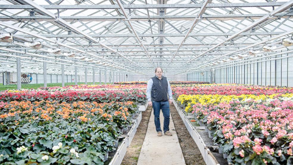 Lars Dehne steht in einem seiner Gewächshäuser in Wiesmoor. Wegen des Lockdowns finden Gartenbaubetriebe für ihre Frühblüher keine Abnehmer und müssen die Pflanzen entsorgen. © Foto: Sina Schuldt/dpa