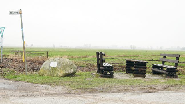 Kater-Stimmung nach Kahlschlag