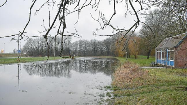 »Jetzt hoffen wir auf einen strengen Frost«