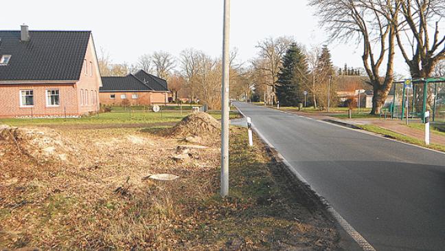 Baumfällung in Wymeer: Polizei sucht Zeugen