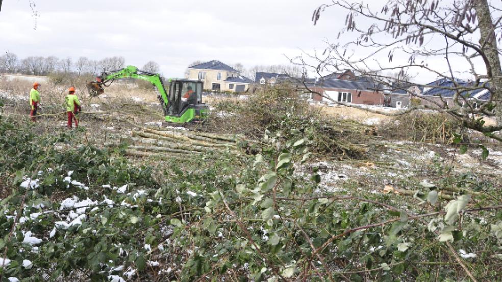 Hinter dem Feuerwehrhaus in Bingum wird Platz geschaffen für das geplante Wohnbaugebiet. © Foto: Wolters
