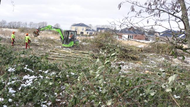 Biotop weicht für neues Baugebiet