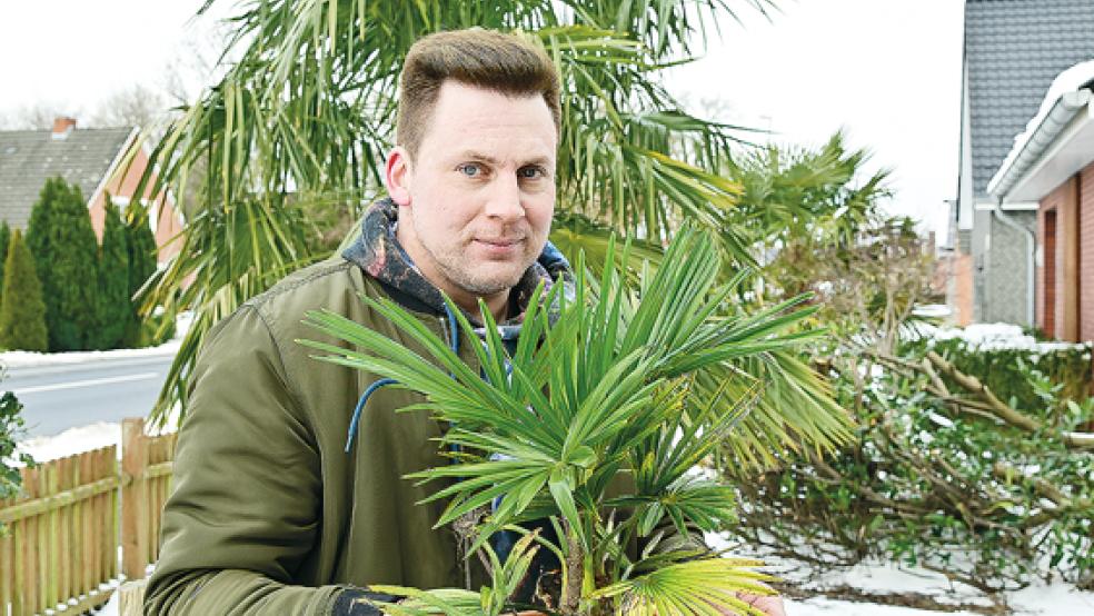 Züchtet Palmen und Bananen in Tichelwarf: Tobias Bonte.  © Foto: Bruins