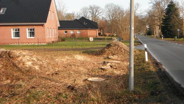 Polizei kann illegale Fällaktion aufklären