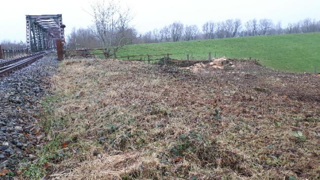 Gehölze entfernt an der Friesenbrücke