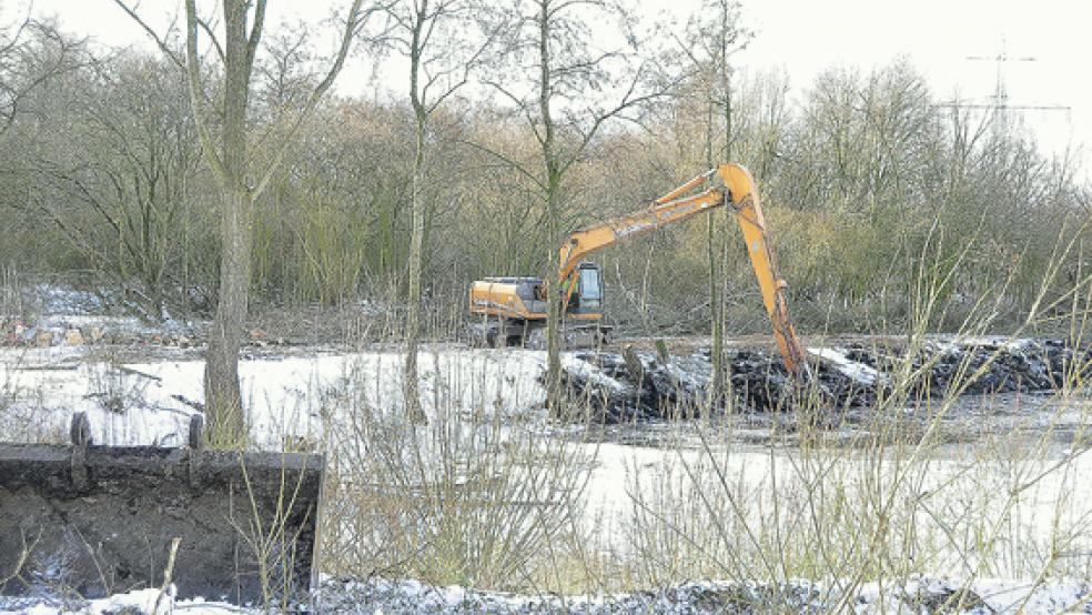 Der Rückhalteteich an der Straße Am Emsdeich wird derzeit gesäubert. Außerdem wurde der Teich eingezäunt.  © Foto: Wolters