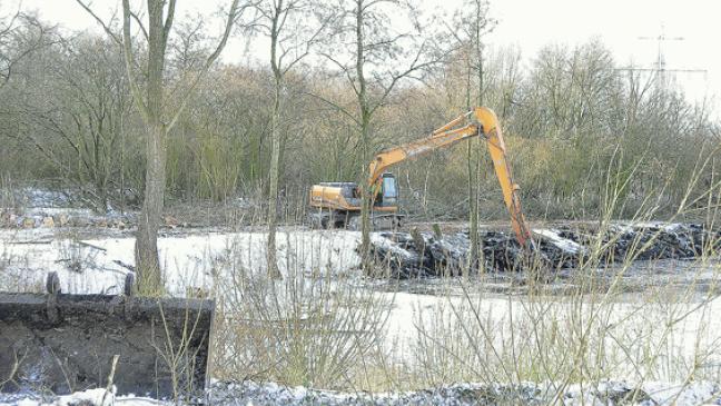 Wildwuchs am Teich beseitigt