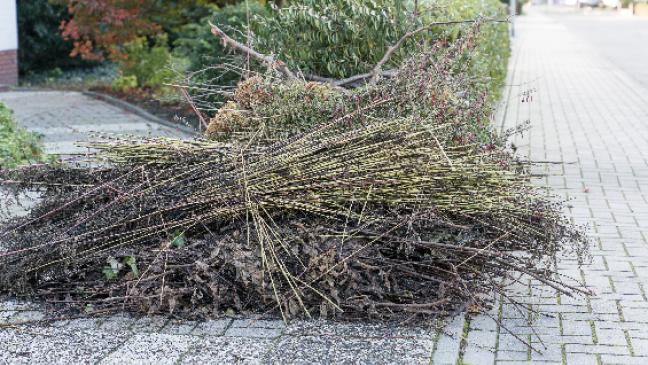 Abfuhr von Baum- und Strauchschnitt