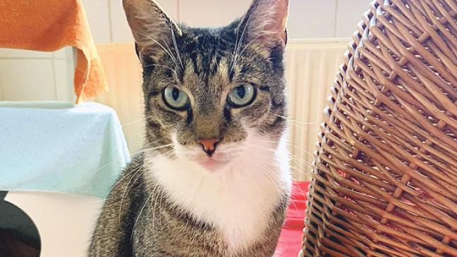 »Garry« braucht Zeit