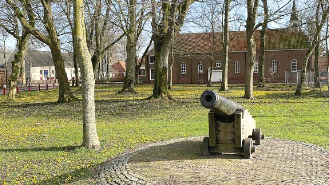 Gelbe Blütenpracht nach frostiger Winternacht