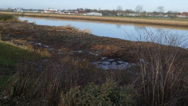 Kahlschlag für neue Ledabrücke