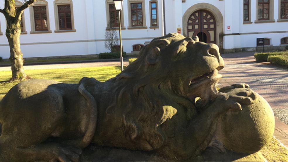 Der Angeklagte, ein 29-jähriger Esenser, mit einem manipulierten Luftgewehr einem 30-jährigen Somalier in die Brust geschossen hat, wodurch das Opfer eine lebensgefährliche Verletzung erlitt.  © Archivfoto: Boelmann