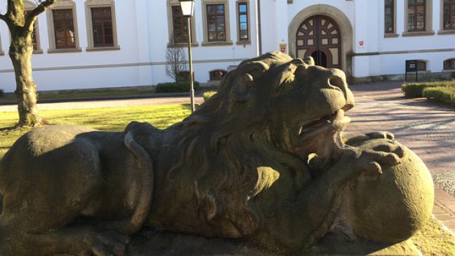 Angeklagter sieht sich nicht als »Nazi-Rambo«