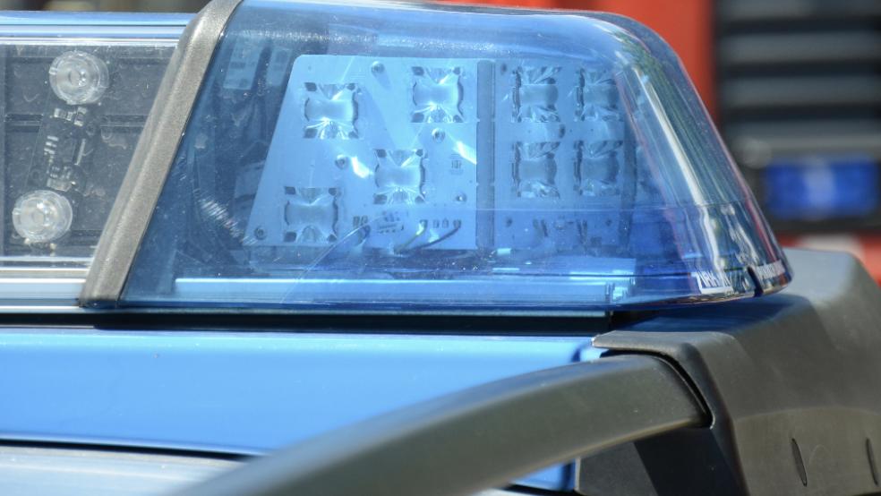 Auch der Tierarzt konnte dem Hund nicht mehr helfen. © Foto: Hanken