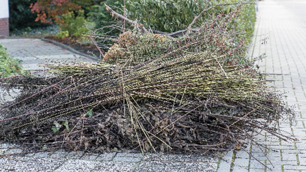 Die Baum- und Strauchabfuhr im Leeraner Kreisgebiet beginnt am 8. März, den Anfang macht dann das Rheiderland.  © Foto: privat