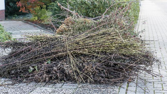 Sammelplätze für das Schnittgut?