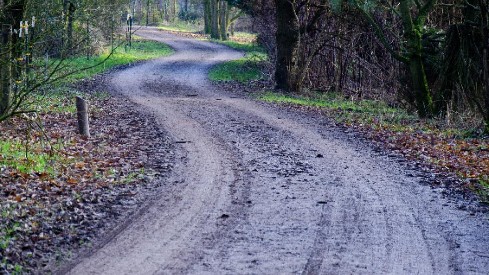Ein Weg für die Zukunft des Hesseparks wird gesucht. Ökologie und Öffentlichkeit sind in Einklang zu bringen.  © Hanken