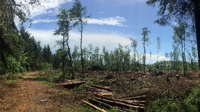 Gut für Weener und für das Klima