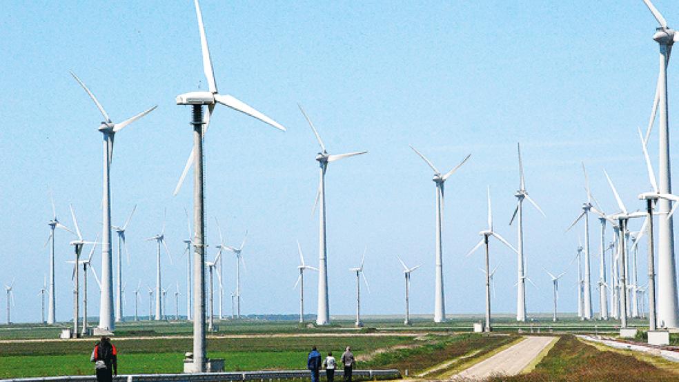 Der Windpark Eemshaven. Das »Energy Valley« setzt auf einen sauberen Energie-Mix anstatt auf Kernkraft.  © Foto: Kuper
