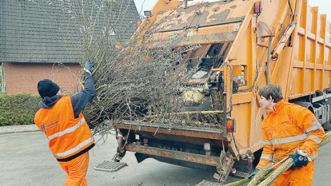 Baum- und Strauchabfuhr im Rheiderland in vollem Gange