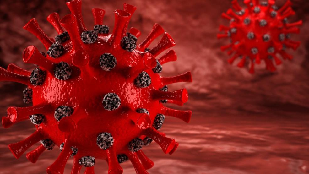 Die Corona-Pandemie hält auch den Landkreis Leer weiter fest im Griff. Ab Montag müssen Einzelhandelsgeschäfte wieder schließen und das Termin-Shopping einstellen. Zudem sind dann wieder nur noch Treffen zwischen einem Haushalt und einer weiteren Person gestattet. © Symbolfoto: Pixabay