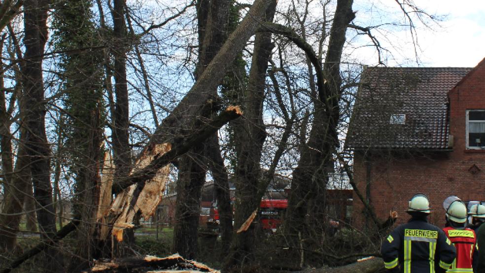 Die Feuerwehr war in Weener gefordert. © Rand (Feuerwehr)