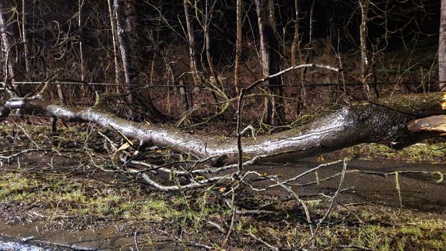 Sturmtief hält Feuerwehren auf Trab