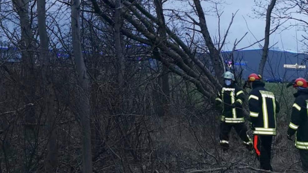 Die Feuerwehrleute beseitigten die Gefahrenstelle. © Foto: Feuerwehr Stapelmoor
