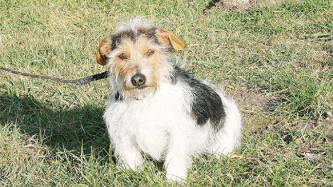 Lebhaft und selbstbewusst