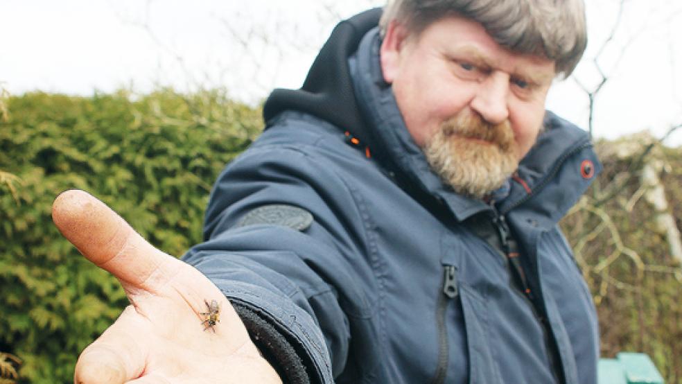 Johannes Luikenga hält es für keine schlechte Idee, dass Bienenzüchter zukünftig ihr Grundwissen nachweisen sollen.  © Foto: Berents