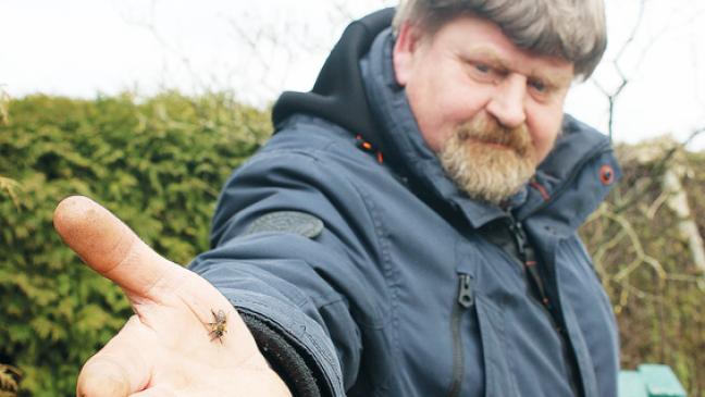 »Imker-Schein« überflüssig?