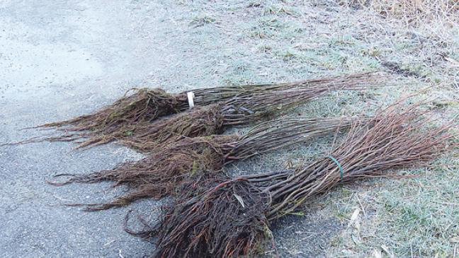 Spende vom Naturschutzbund Rheiderland