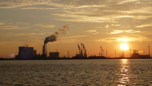 Biomasse für Kohlekraft