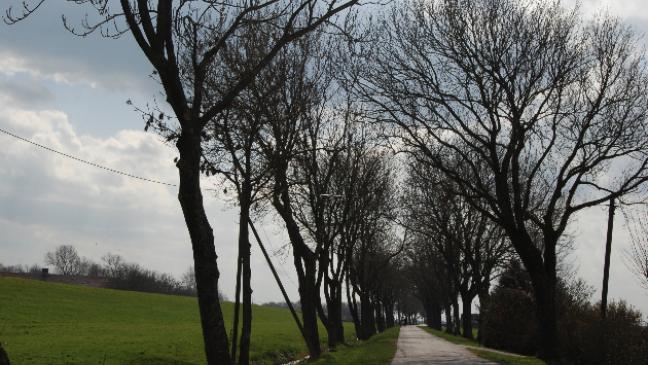 Drei Kilometer lange neue Wasserleitung