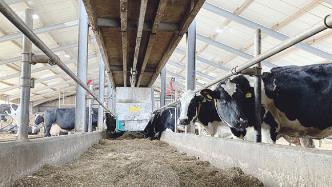 Landwirtschaft mehr wertschätzen