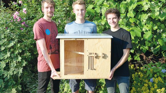 Eine Bienenbox für Jedermann