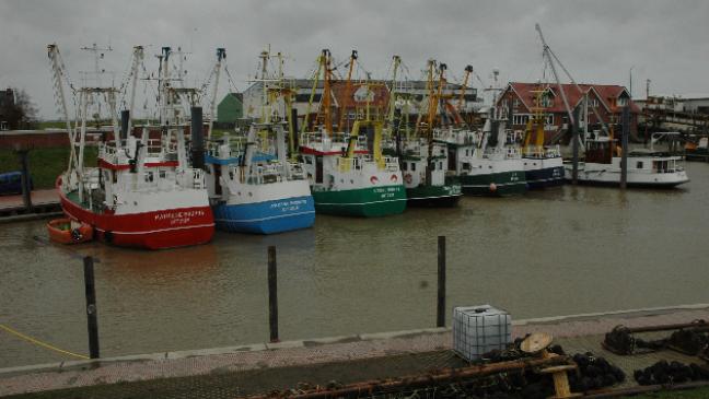 Auto landet in Ditzumer Hafen