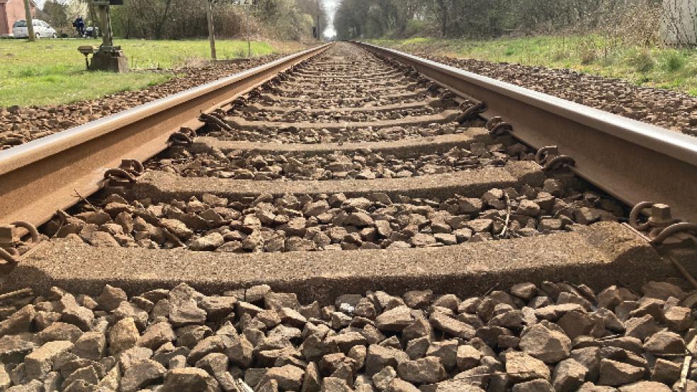 Derzeit finden zwischen Papenburg und Leer sowie zwischen Weener und Bunde Begehungen sowie Kartierungsarbeiten statt.  © Boelmann