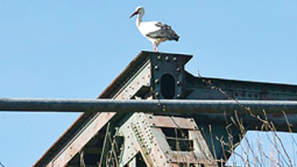  © Foto: P. Glowczeswki