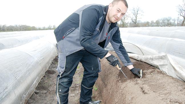 Spargelernte in Brual seit 25 Jahren - auch bei Aprilwetter