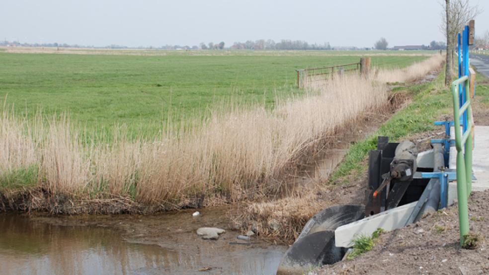 Die Flurbereinigung dient der Entwicklung des ländlichen Raumes. Aktuell finanziert das Land Niedersachsen drei Verfahren im Landkreis Leer.  © Symbolfoto: Hoegen