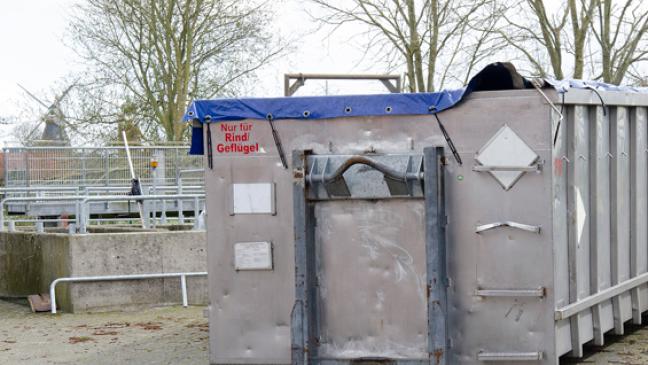 Geflügelpest: Sorge um die Bodenbrüter