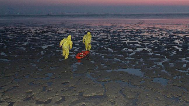 Reh im Watt: Feuerwehr rückt an