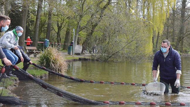Angelsportverein fischt Julianenparkteich ab
