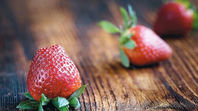 Mehr Schutz für Erntehelfer gefordert