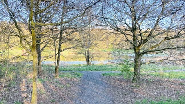 Eine Wildblumenwiese, breitere Wege und eine neue Sitzbank