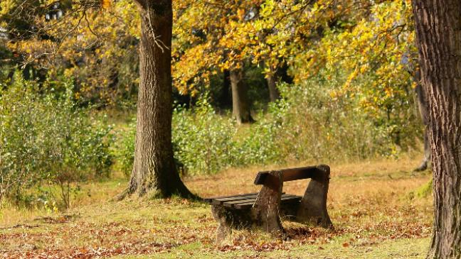 Fein säuberlich ausgegraben