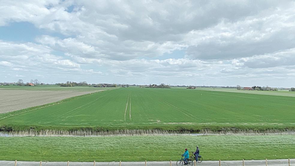 Radwanderer in Kanalpolder, nahe von Nieuwe Statenzijl.  © Foto: Hanken